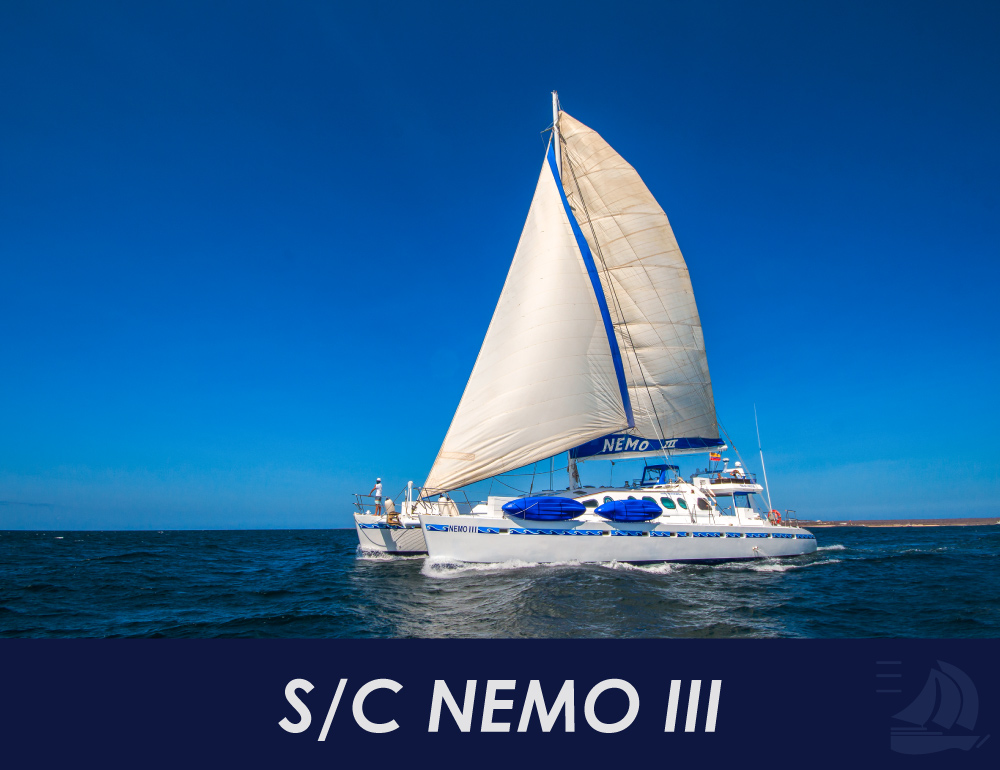 Nemo III Galapagos Cruises Last Minute 2024