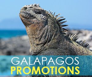 Galapagos Cruises Promotions