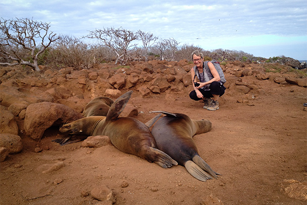 Cruceros a las Islas Galápagos desde Rusia - GalapagosInformation ...