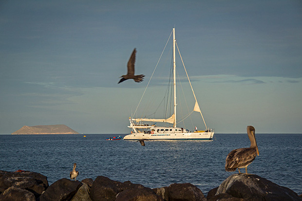 Cruceros a las Islas Galápagos desde Chile