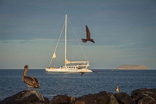 Galapagos Islands cruises from Chile