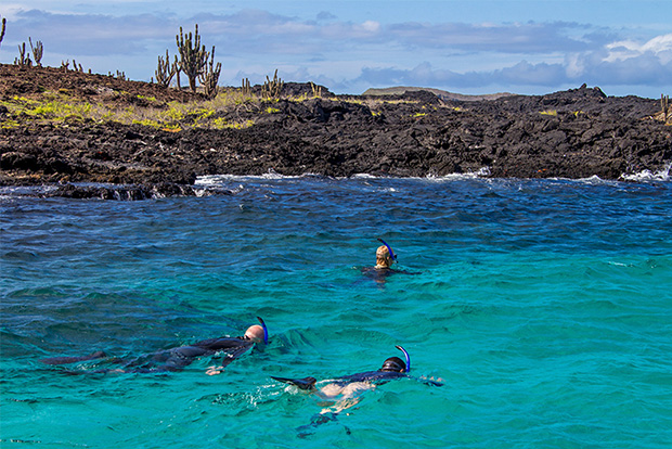 Galapagos Islands cruises offers