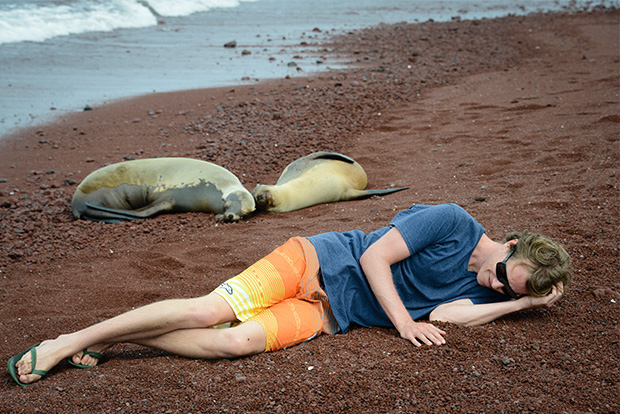 Viajar a las Islas Galápagos en un crucero - GalapagosInformation ...