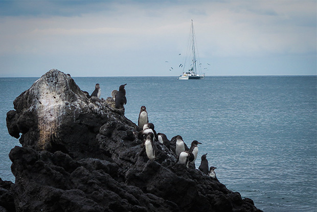 Viajes en barco por las Islas Galápagos