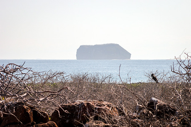 Check list para viajar a las Islas Galápagos