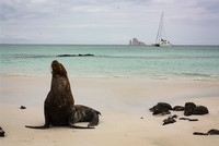 Galapagos Islands Travel Guide Catamarans for 4 passengers to the Galapagos Islands August 2023