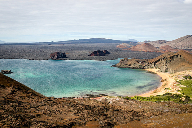 Cruises to the Galapagos Islands off Sale