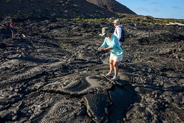 Cruises to the Galapagos Islands with PayPal