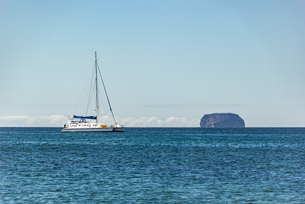Discounts in Cruises to Galapagos Islands