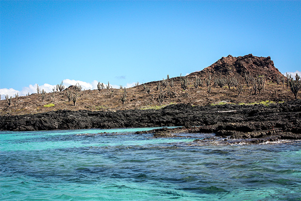 Ecoventura.com Crucero por las Islas Galápagos