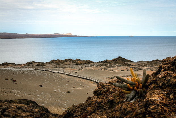 First class travels to the Galapagos Islands
