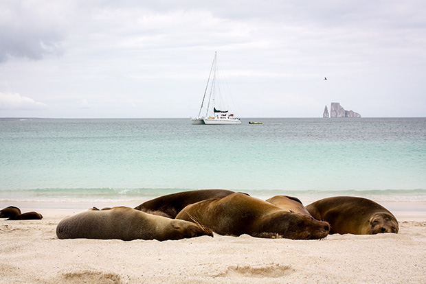 #Galapagos Hashtag Twitter