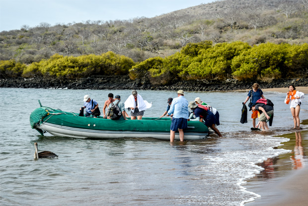 Galapagos Islands Cruises for groups