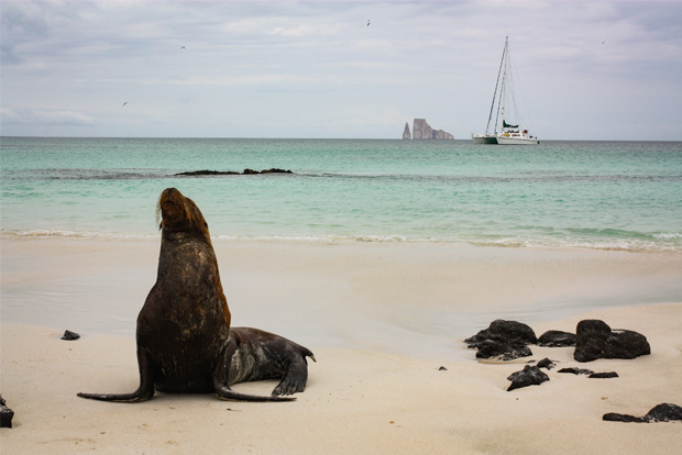 Galapagos Islands cruises from the United States