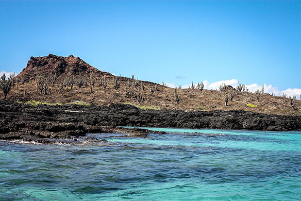 GalapagosInformation.com Crucero por las Islas Galápagos