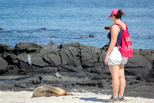 Searching the Galapagos Islands on Youtube