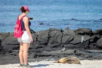 Galapagos Islands Trip Cruise to the Galapagos Islands for Illinois, USA people