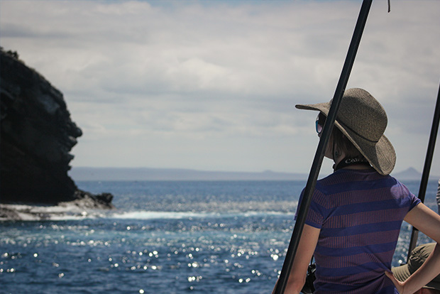 Ticket Price for Cruises to the Galapagos Islands