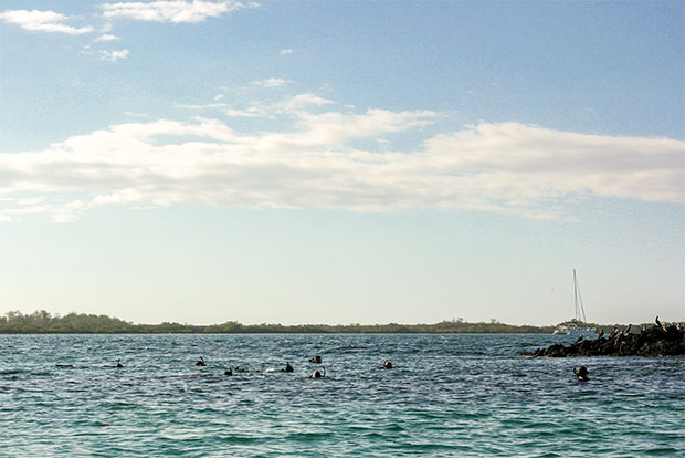 catamaranes-familiares-a-las-islas-galapagos-diciembre-2016