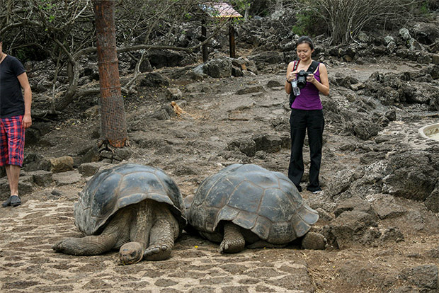 Cruceros a las Islas Galápagos para 2 personas agosto 2020 ...