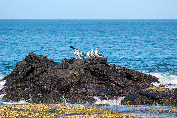 catamarans-discount-to-the-galapagos-islands-december-2016