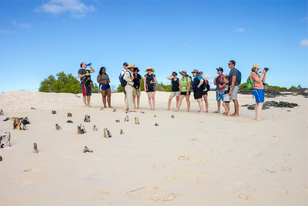 cruises-to-the-galapagos-islands-for-13-people-december-2016