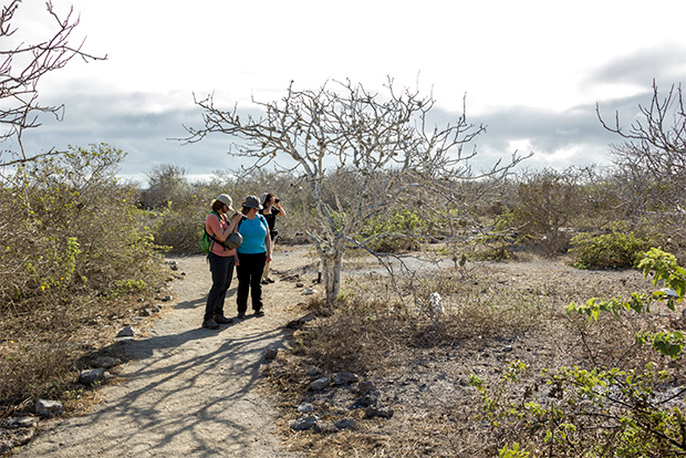 cruises-to-the-galapagos-islands-for-15-people-december-2016