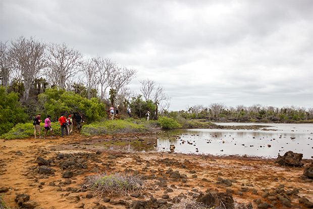 cruises-to-the-galapagos-islands-for-16-people-december-2016