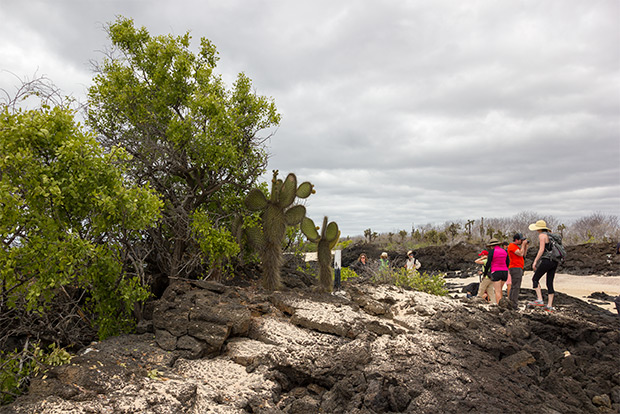 cruises-to-the-galapagos-islands-for-9-people-december-2016