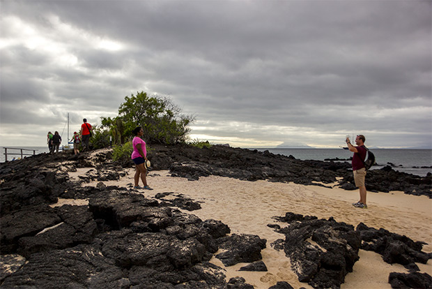 discount-cruises-to-the-galapagos-islands-december-2016