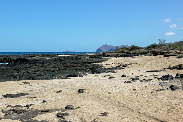 luxury-cruises-to-the-galapagos-islands-december-2016