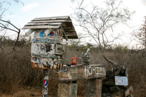 galapagos cruises april 2023