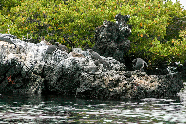 catamarans-for-two-people-to-the-galapagos-islands-february-2017