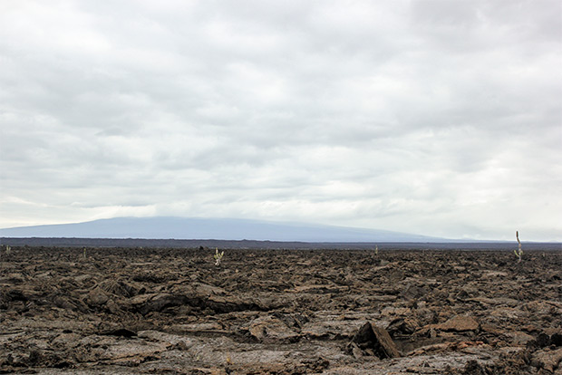 catamarans-to-galapagos-islands-january-2017