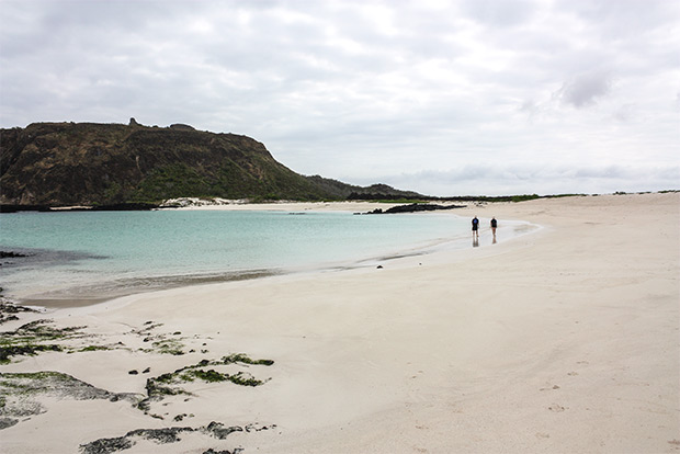 cruises-to-the-galapagos-islands-for-11-people-january-2017