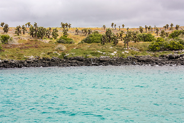 galapagos cruises january 2023