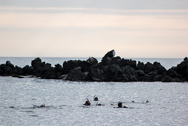 cruises-to-the-galapagos-islands-for-16-people-february-2017