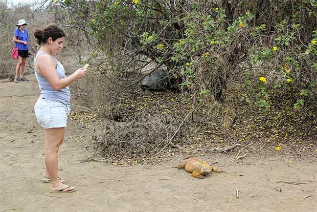 cruises-to-the-galapagos-islands-for-3-people-january-2017