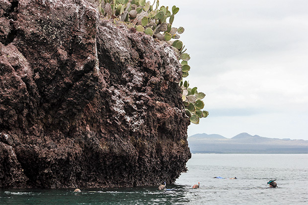 cruises-to-the-galapagos-islands-for-5-people-february-2017