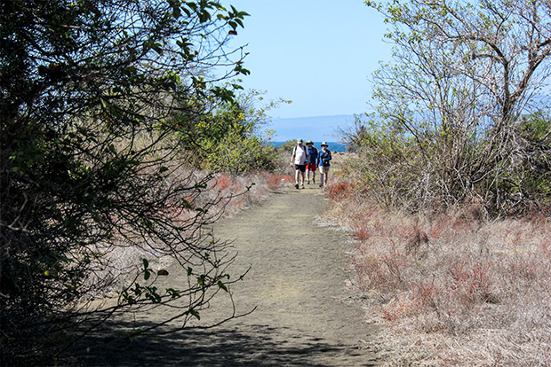 cruises-to-the-galapagos-islands-for-6-people-february-2017