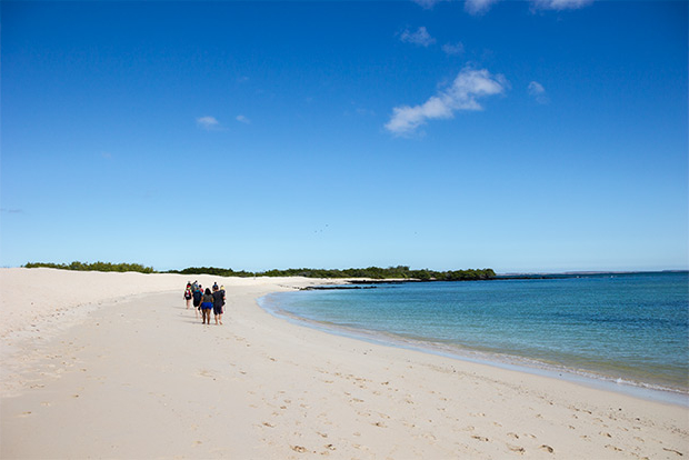 discount-cruises-to-the-galapagos-islands-february-2017