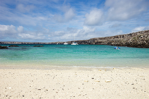 economy-cruises-to-the-galapagos-islands-february-2017