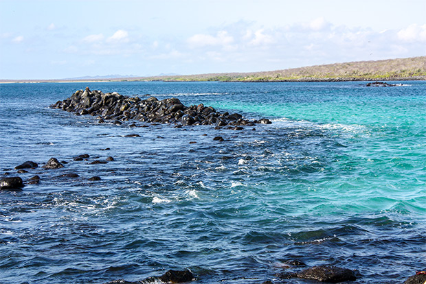 low-priced-catamarans-to-the-galapagos-islands-january-2017