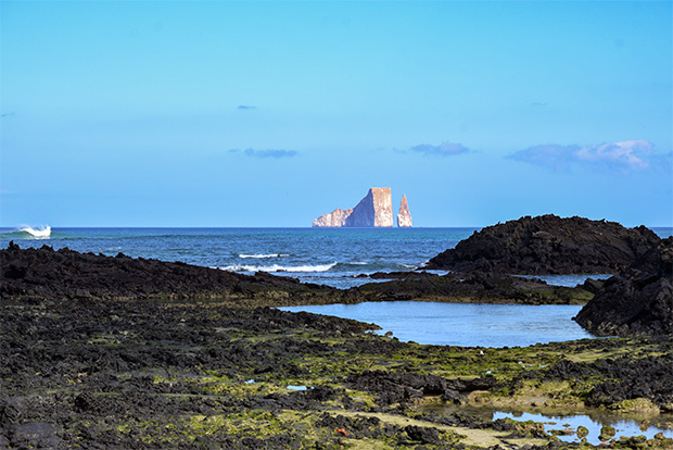 galapagos cruise royal caribbean