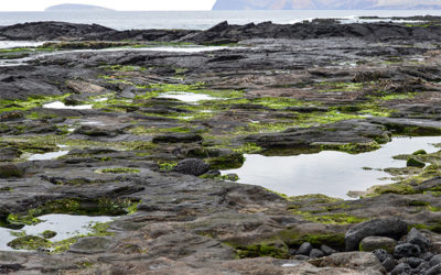 Paquetes Turísticos a las Islas Galápagos junio 2023