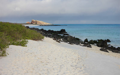 Tours a Galápagos económicos 2023