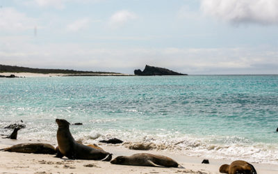 Croisières aux Îles Galápagos en Avril