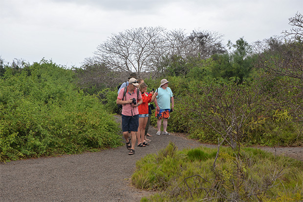 galapagos cruises november 2023