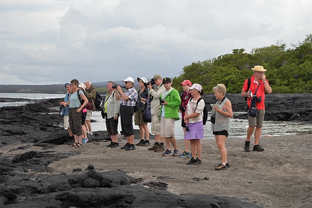 Galapagos Islands Christmas 2022 Tourism To The Galapagos Islands December 2022 - Galapagosinformation.com  Blog