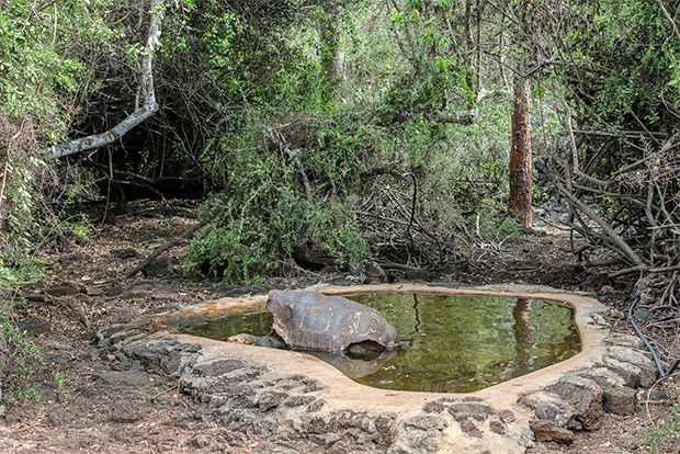 galapagos island tours for seniors